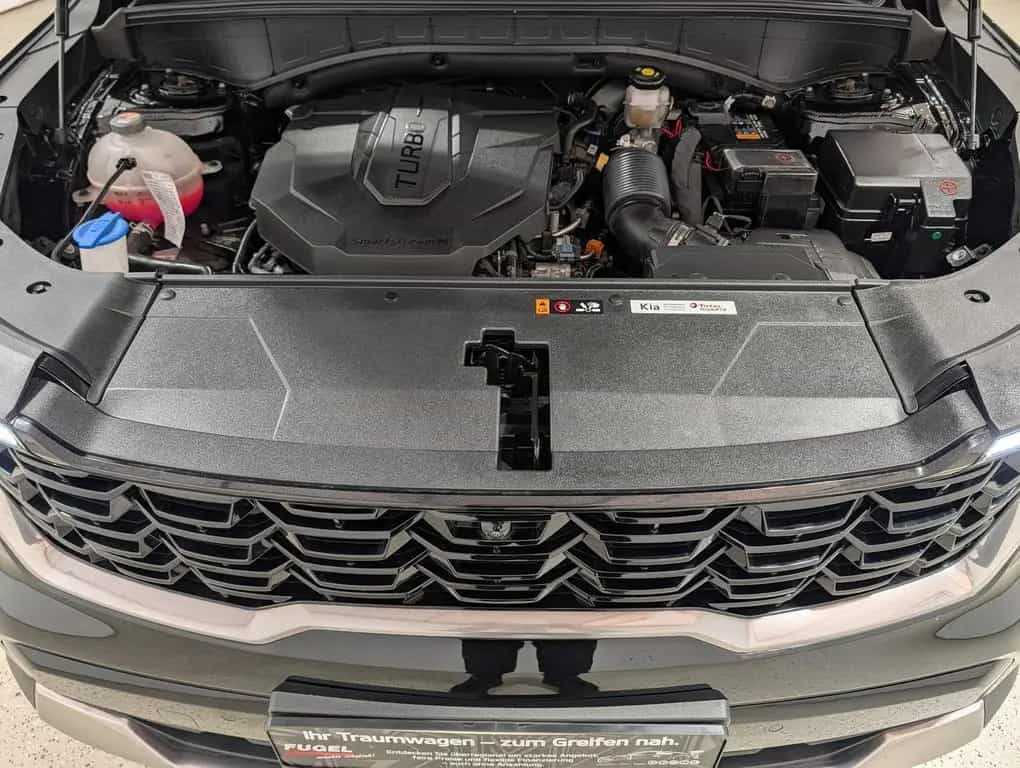 Kia Sorento 2.2 CRDi Platinum 4WD|7S|4xSHZ|Pano|360| 04/2024-photo-32