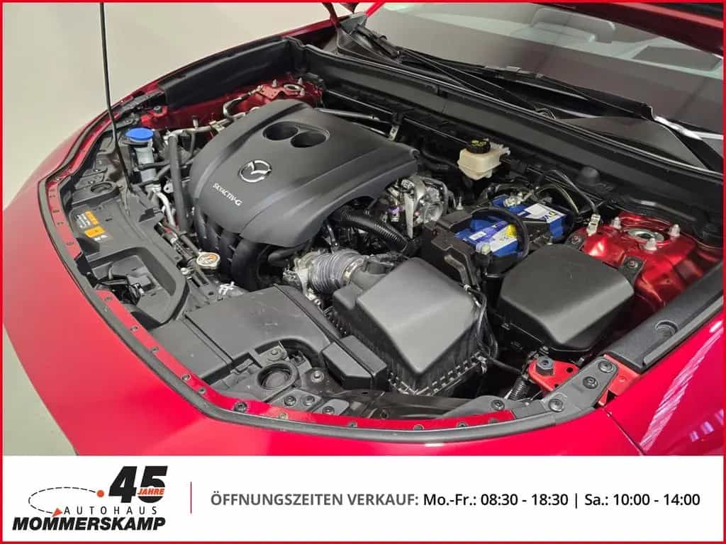 Mazda CX-30 2WD+HUD+Allwetter+AHK-abnehmbar+Lederlenkr 12/2021-photo-13