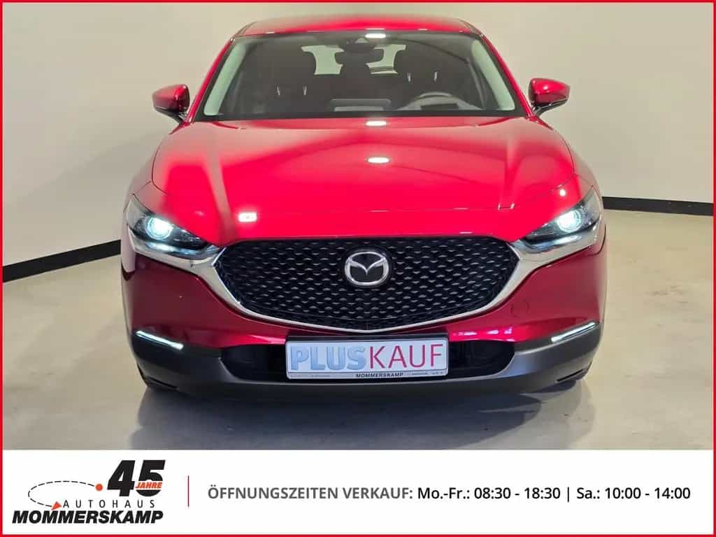 Mazda CX-30 2WD+HUD+Allwetter+AHK-abnehmbar+Lederlenkr 12/2021-photo-17
