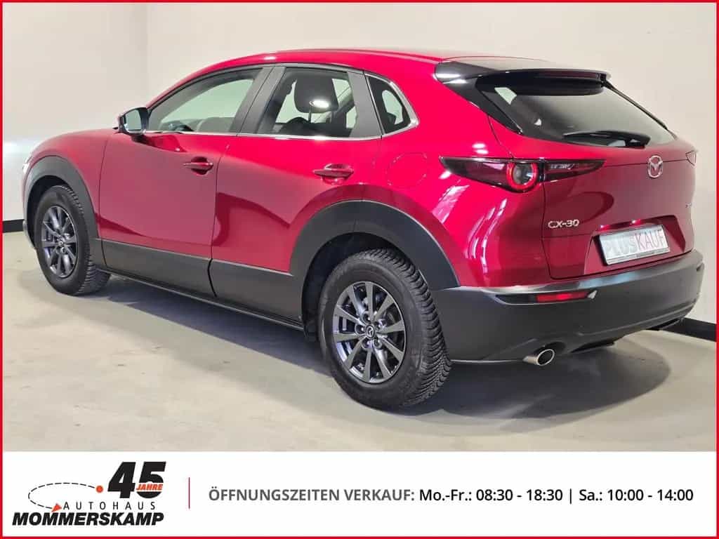 Mazda CX-30 2WD+HUD+Allwetter+AHK-abnehmbar+Lederlenkr 12/2021-photo-2
