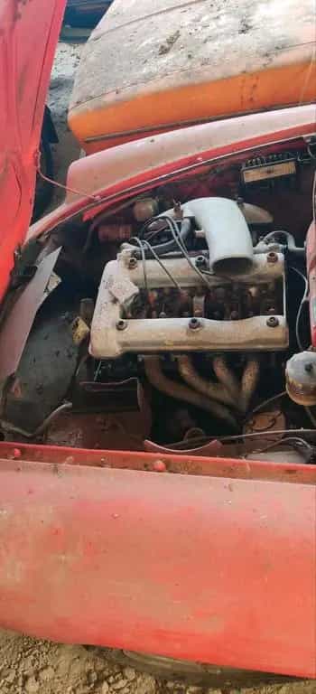Alfa Romeo Spider 1600 Duetto (AR105.03) 01/2026-photo-3