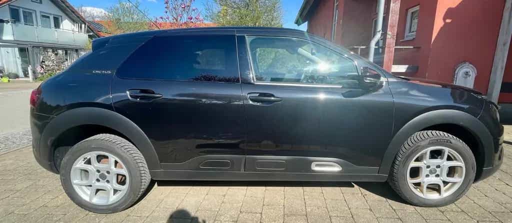 Citroën C4 Cactus PureTech 110 S&S Shine Shine 01/2020-photo-4
