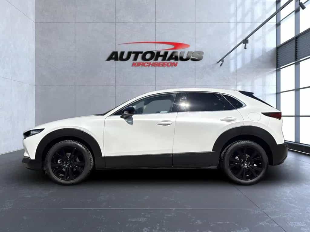 Mazda CX-30 2.5 e-SKYACTIV-G Homura 2WD Bluetooth Navi 04/2025-photo-6