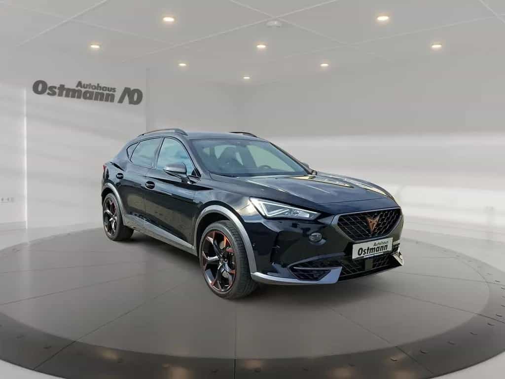 Cupra Formentor VZ 4Drive 2.0 TSI AHK RFK SHZ LED 03/2023-photo-4