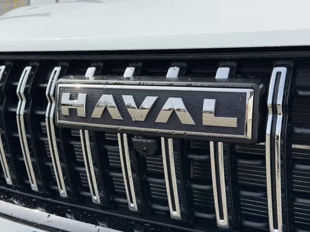 GWM HAVAL Jolion Pro Premium / Sitzheizung/360°Kam null-photo-12