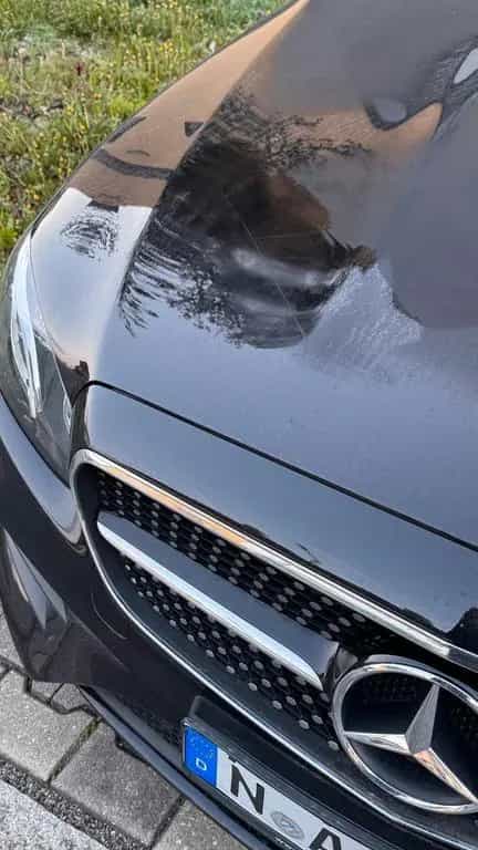 Mercedes-Benz E-Class Benz E Coupe 200 04/2019-photo-7