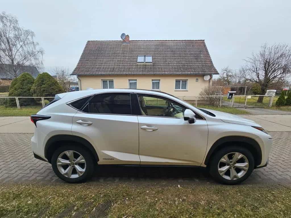 Lexus NX 300 300h E-FOUR Luxury Line Luxury Line 03/2015-photo-4