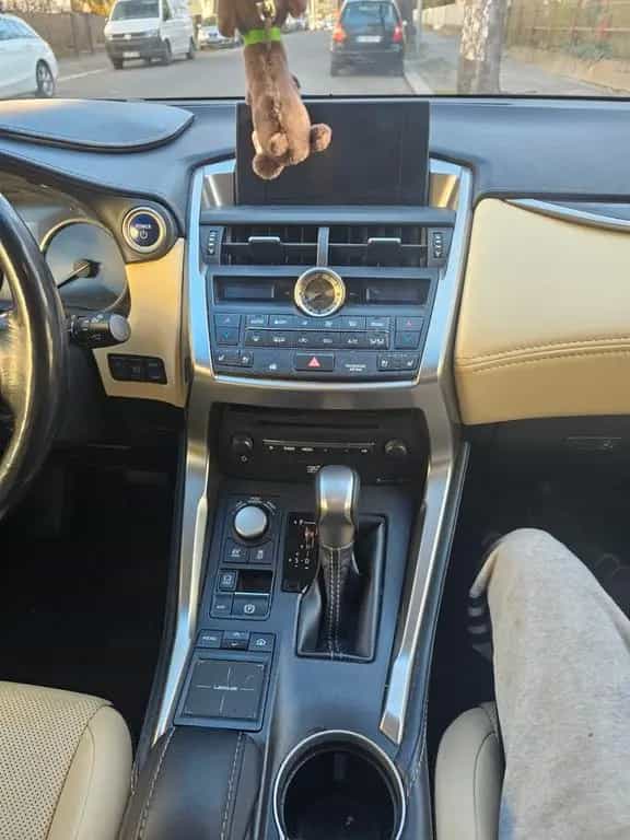 Lexus NX 300 300h E-FOUR Luxury Line Luxury Line 03/2015-photo-8
