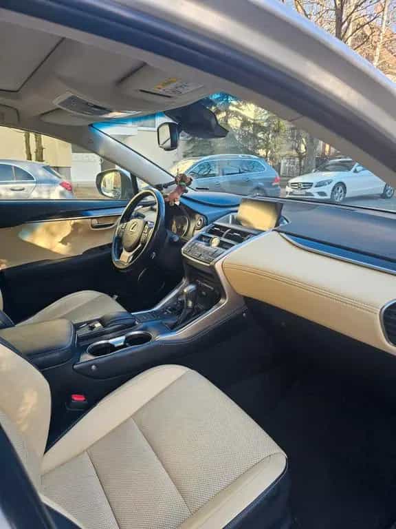 Lexus NX 300 300h E-FOUR Luxury Line Luxury Line 03/2015-photo-9