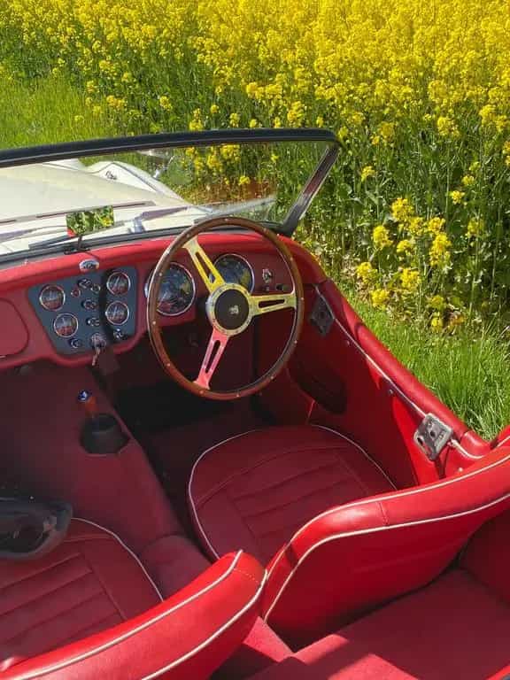 Triumph TR3 A 07/1961-photo-9