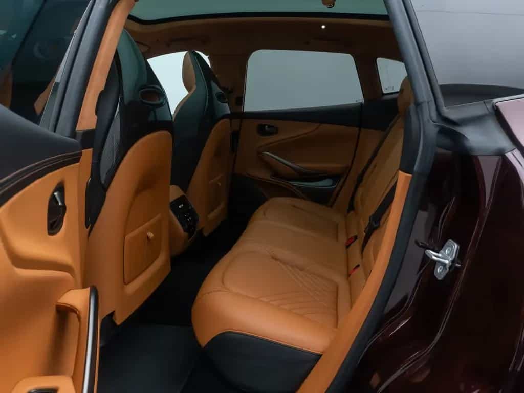 Aston Martin DBX 4.0 V8 Individual Carbon Elegance Mega-Voll 10/2021-photo-24