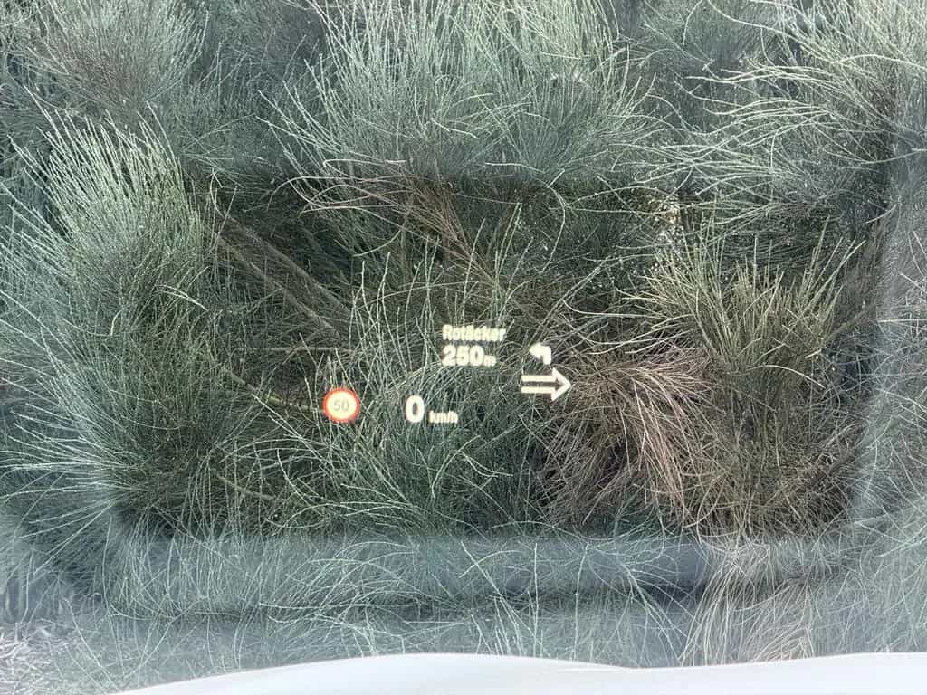 BMW X3 xDrive 20 d xLine HUD/NAV/AHK/KAMERA/SHZ/PANO 09/2017-photo-20