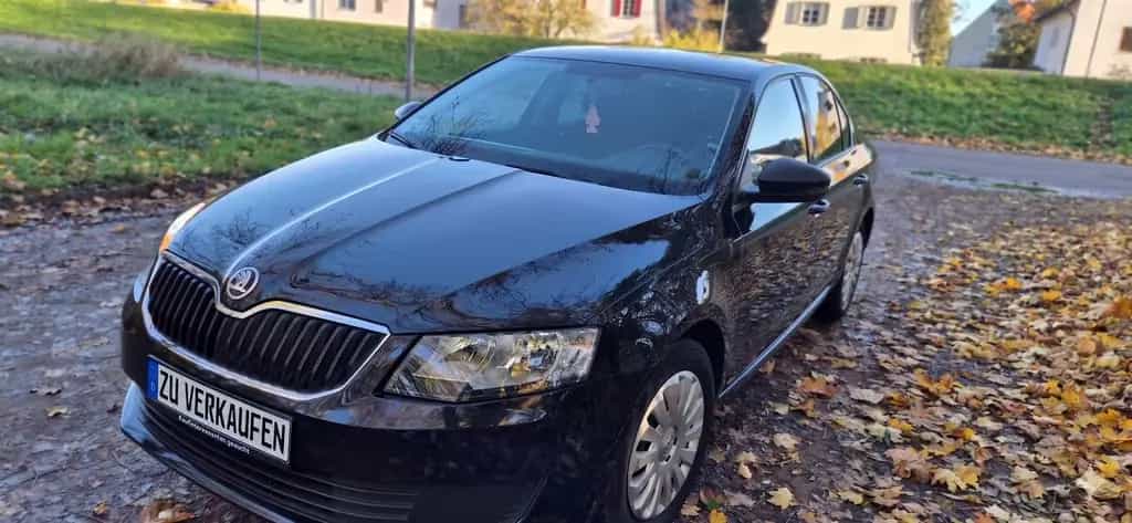 Skoda 1.0 TSI *Erstbesitz*TÜV NEU* Winterreifen 12/2016-photo-0