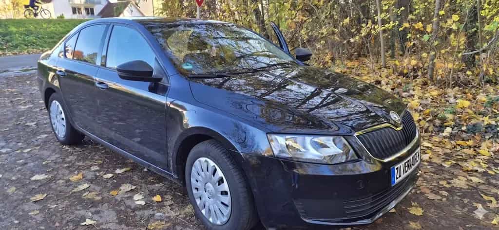 Skoda 1.0 TSI *Erstbesitz*TÜV NEU* Winterreifen 12/2016-photo-1