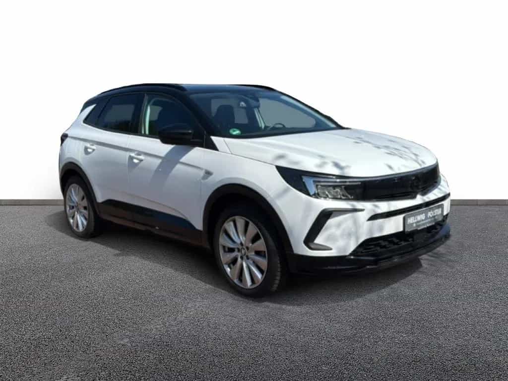 Opel Grandland GS 2-Zonen-Klimaautom LenkradHZG Rückf 09/2022-photo-8
