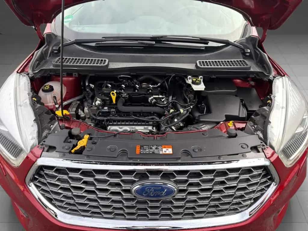Ford Kuga Family 10/2018-photo-11