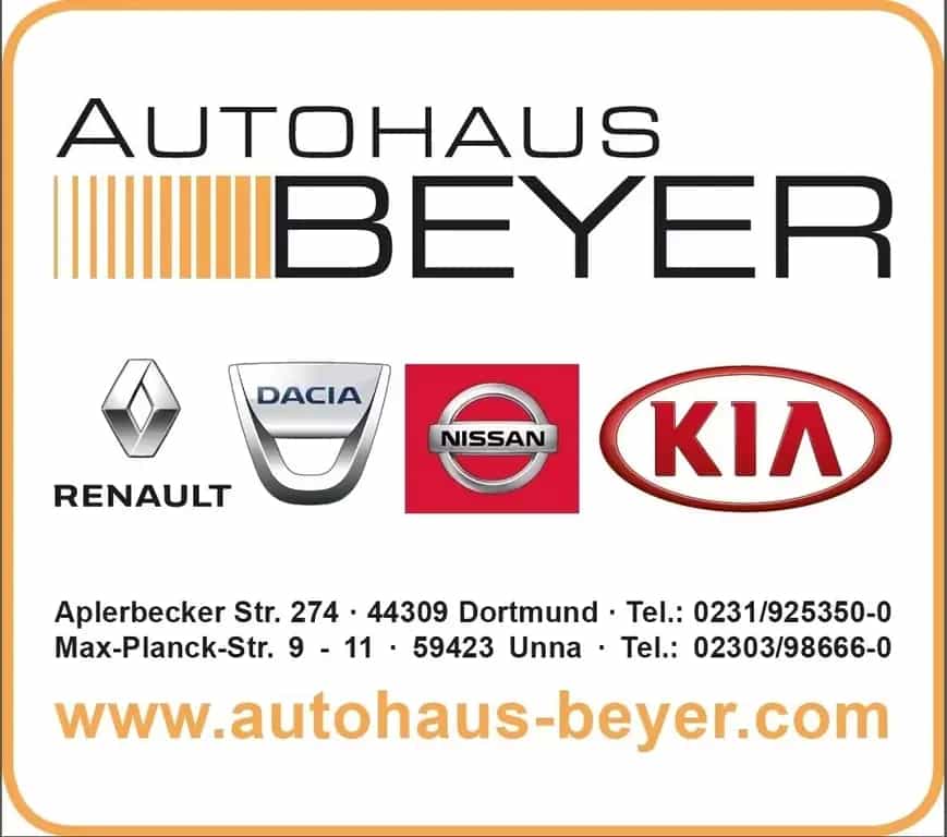 BAIC BJ40 null-photo-14