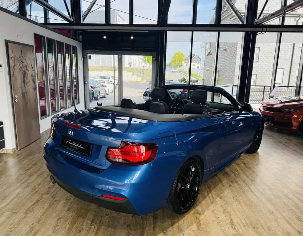BMW 2 Series 220 i Cabrio M-Sport*LED*NAVI*2.HAND*18ZOLL 06/2019-photo-10