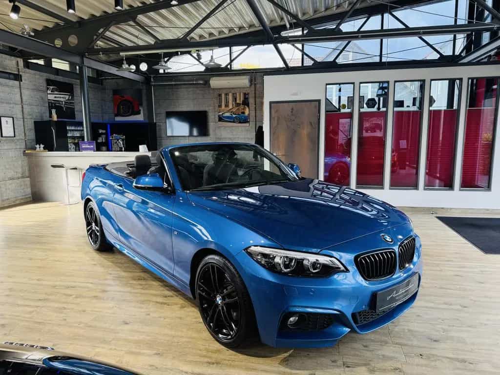BMW 2 Series 220 i Cabrio M-Sport*LED*NAVI*2.HAND*18ZOLL 06/2019-photo-13