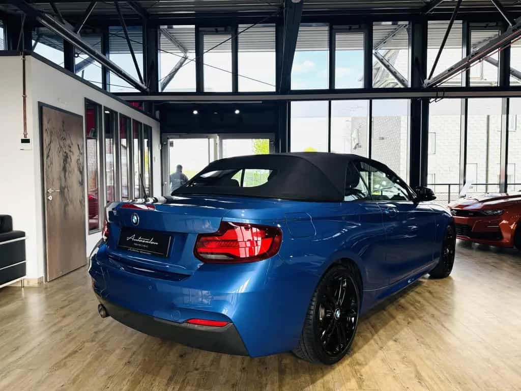 BMW 2 Series 220 i Cabrio M-Sport*LED*NAVI*2.HAND*18ZOLL 06/2019-photo-9