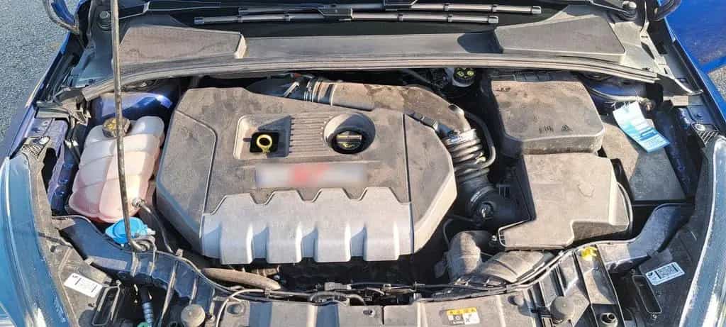 Ford Focus ST 05/2018-photo-4