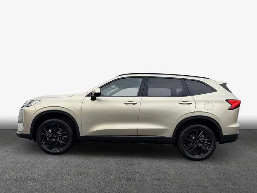 GWM HAVAL H6 Luxury 179 kW null-photo-3