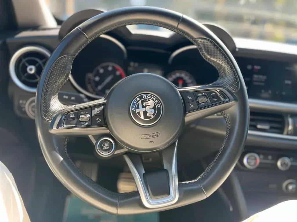 Alfa Romeo Stelvio 2.2 Turbodiesel 190 CV AT8 Q4 12/2021-photo-11
