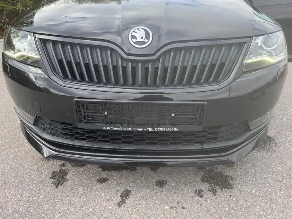 Skoda Rapid Monte Carlo Automatik Navi 44500 km 03/2019-photo-25