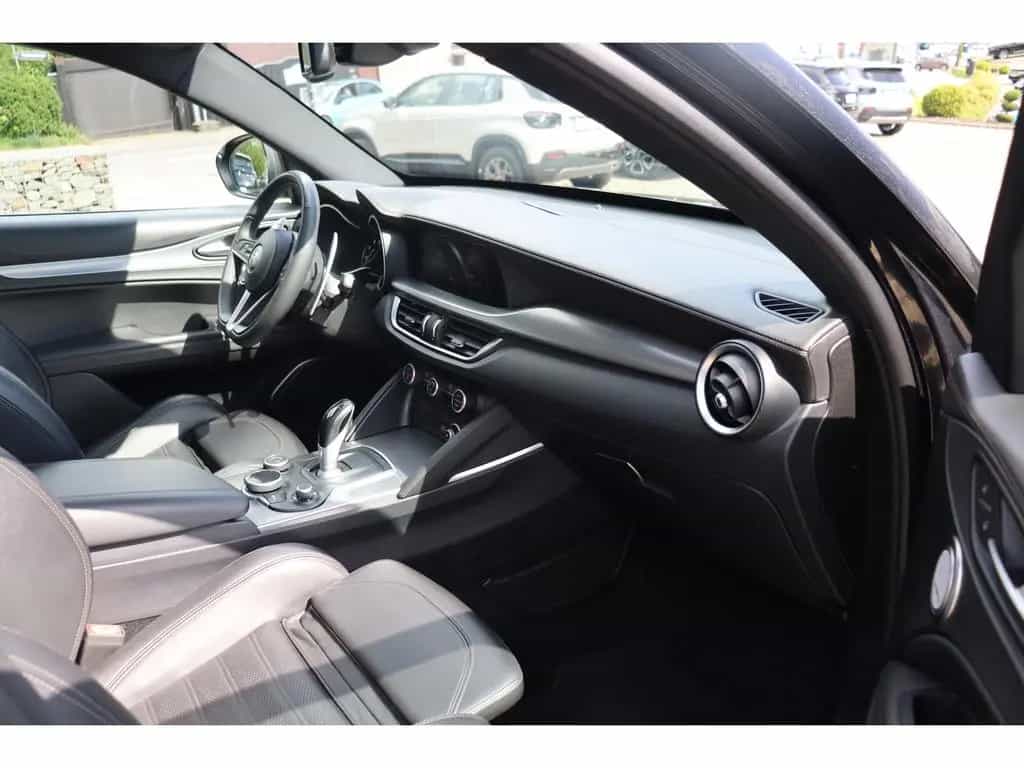 Alfa Romeo Stelvio B-TECH 2.0 Turbo 16V AT8 Q4 PREMIUM-VELO 02/2019-photo-15