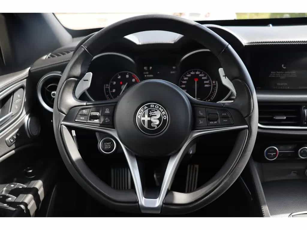 Alfa Romeo Stelvio B-TECH 2.0 Turbo 16V AT8 Q4 PREMIUM-VELO 02/2019-photo-18