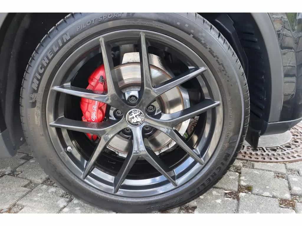 Alfa Romeo Stelvio B-TECH 2.0 Turbo 16V AT8 Q4 PREMIUM-VELO 02/2019-photo-26