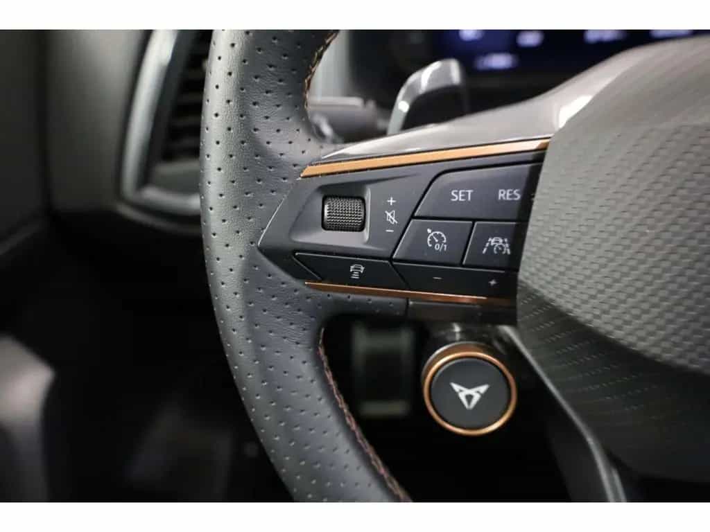 Cupra Ateca 2.0 TSI 4Drive VZ 04/2024-photo-10