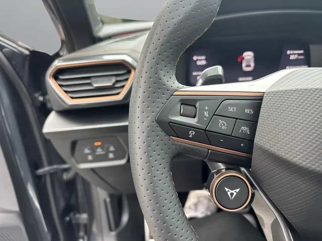 Cupra Formentor VZ 2.0lTSI *NAVI+LED+ACC+FULL LINK+PDC 04/2022-photo-16