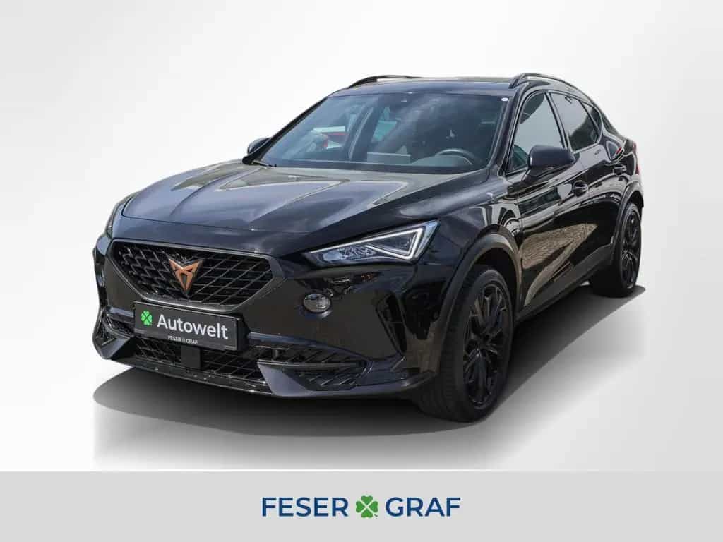 Cupra Formentor VZ 2.0 TSI 4Dr. Tribe Edition AHK Pano 04/2024-photo-0