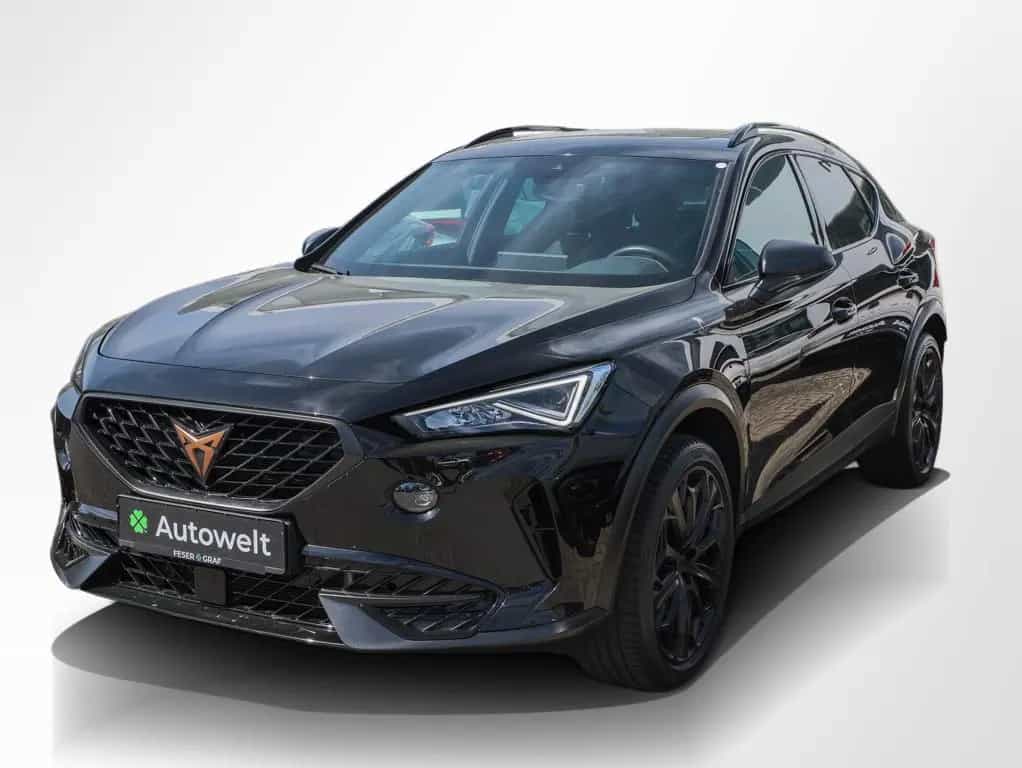 Cupra Formentor VZ 2.0 TSI 4Dr. Tribe Edition AHK Pano 04/2024-photo-10