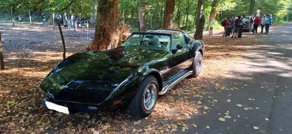 Corvette C3 L82, Matching Numbers 07/1977-photo-8