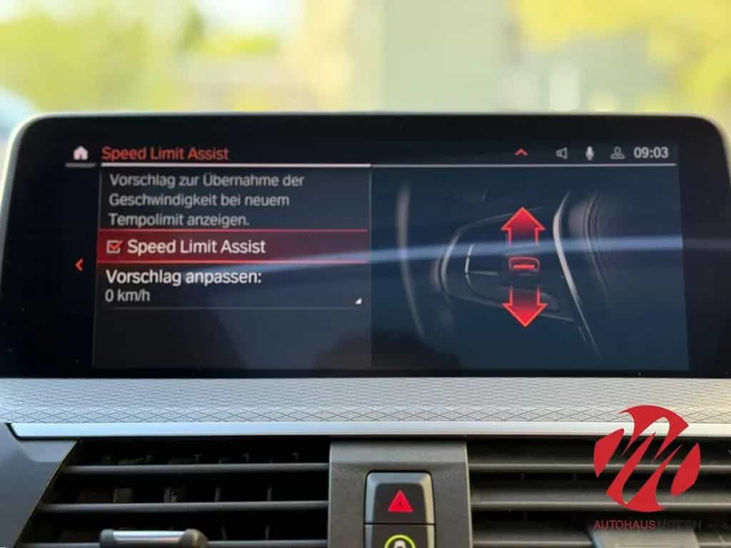 BMW X4 xDrive 30 d M Sport ACC LEDER PANO LED STANDH 09/2020-photo-31