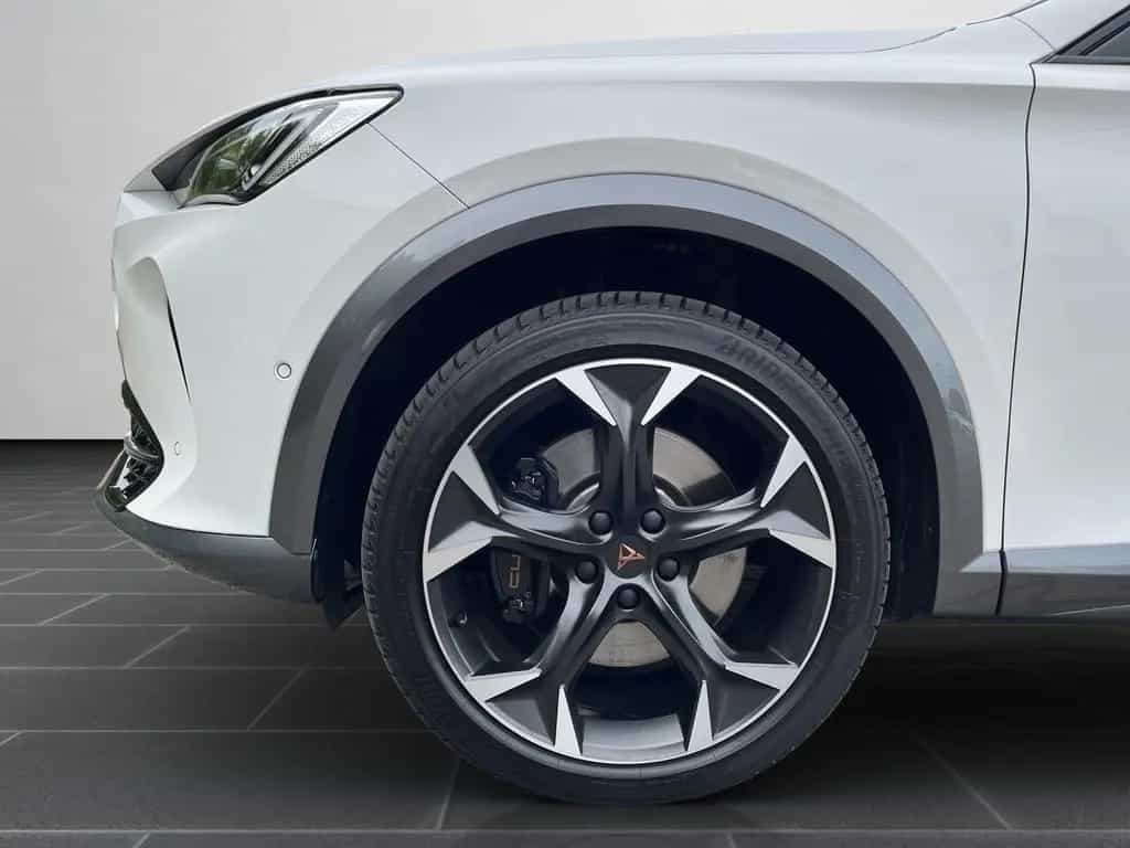Cupra Formentor VZ 2.0 TSI 4Drive Navi, Pano, SHZ, RFK 04/2024-photo-7