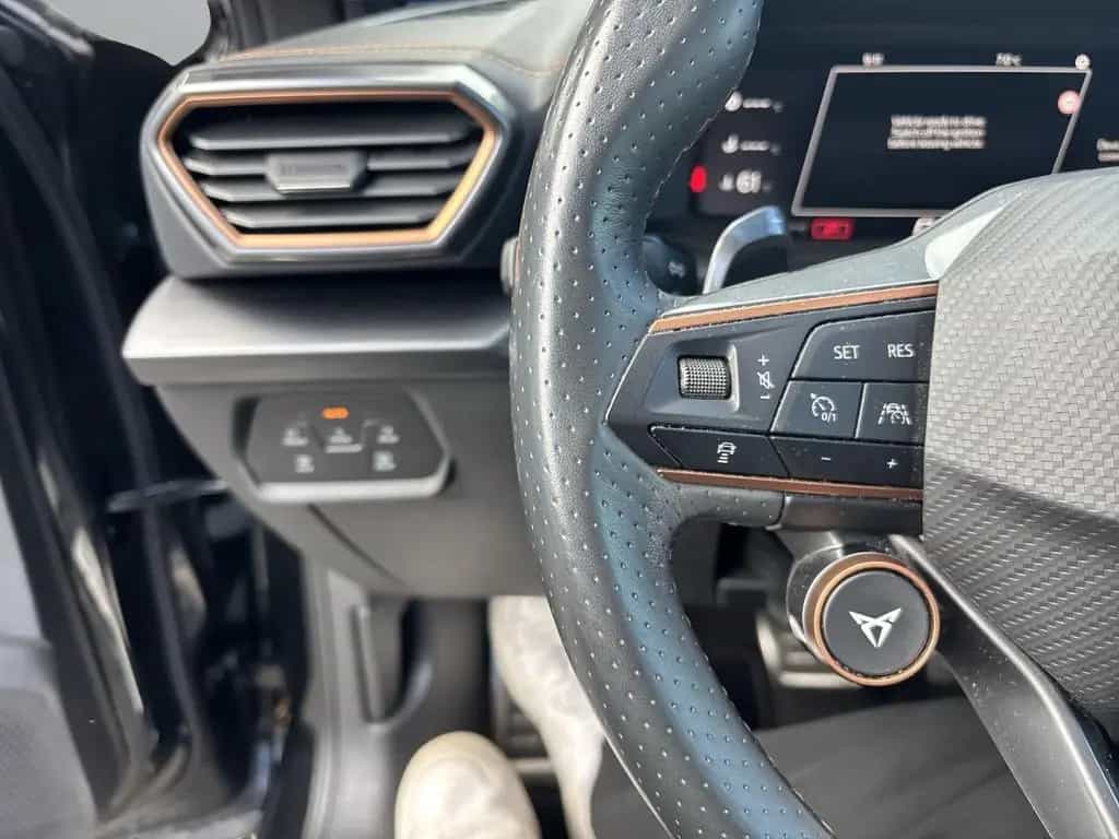 Cupra Formentor *VZ/4Drive/AHK-klappbar/El. Panodach/L 01/2022-photo-16