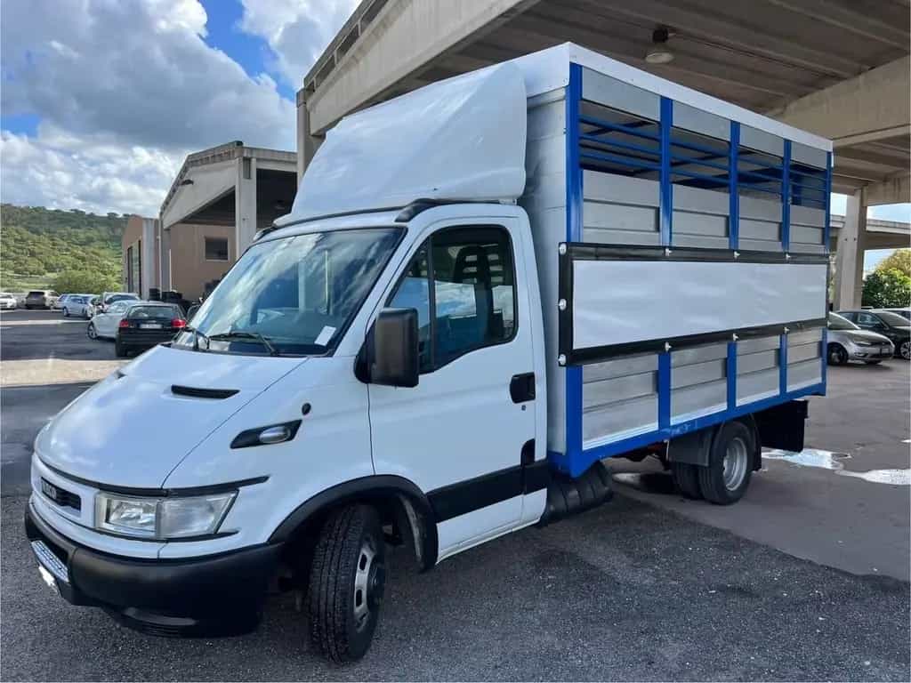 Iveco Daily 35c13 trasporto animali vivi Cavalli 05/2003-photo-1