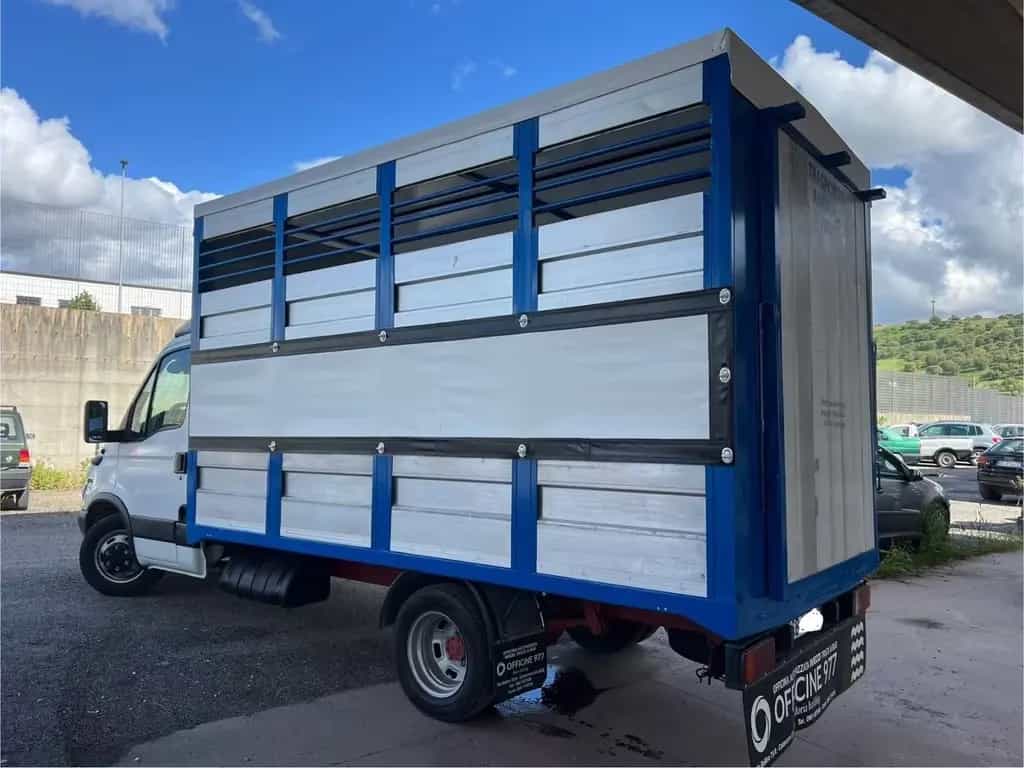 Iveco Daily 35c13 trasporto animali vivi Cavalli 05/2003-photo-2
