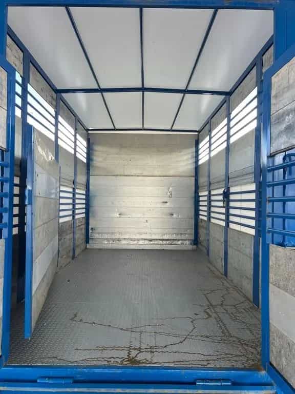 Iveco Daily 35c13 trasporto animali vivi Cavalli 05/2003-photo-7