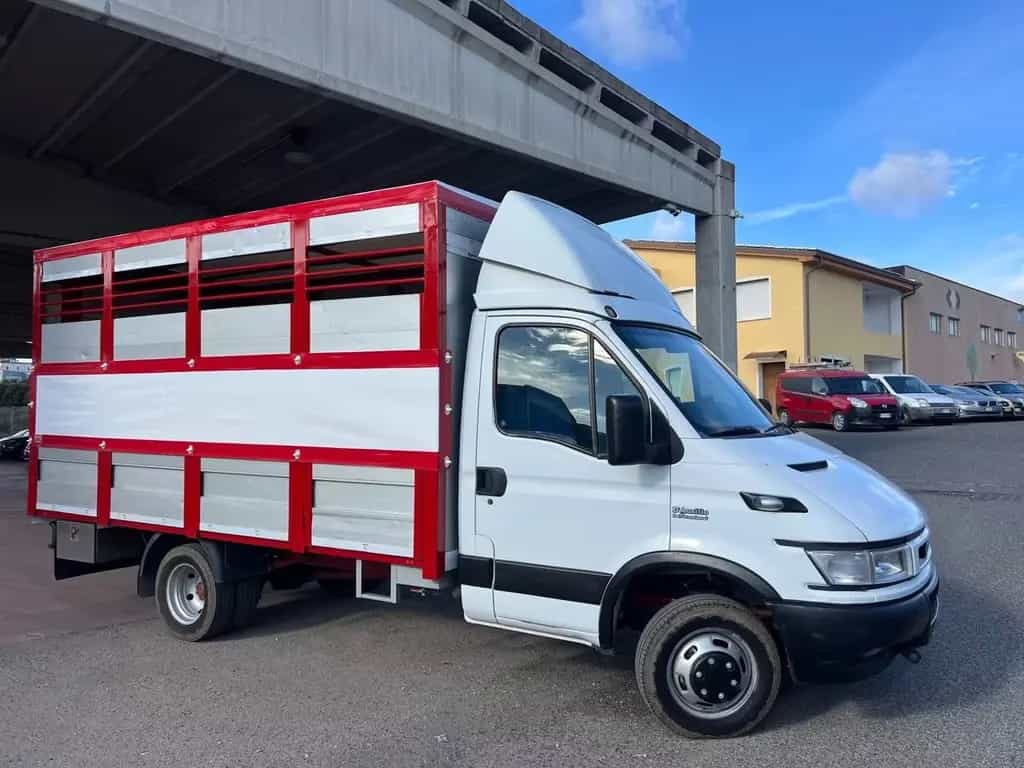 Iveco Daily 35c13 trasporto animali vivi patente 04/2002-photo-0