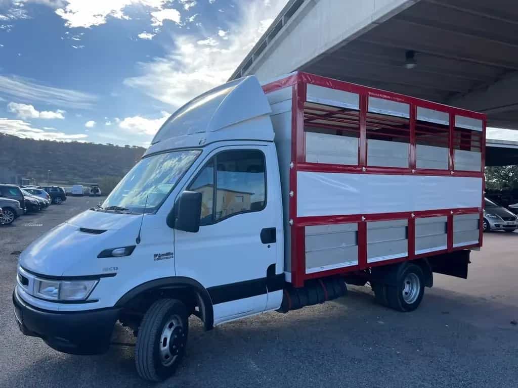 Iveco Daily 35c13 trasporto animali vivi patente 04/2002-photo-1