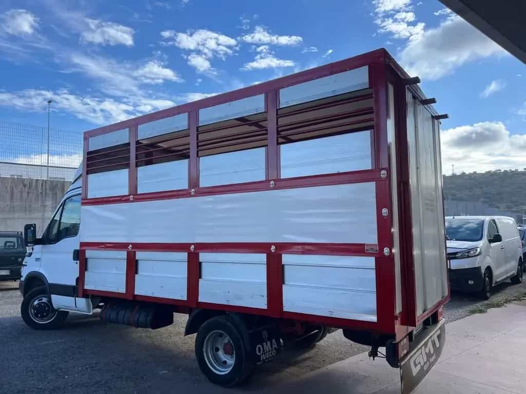 Iveco Daily 35c13 trasporto animali vivi patente 04/2002-photo-2