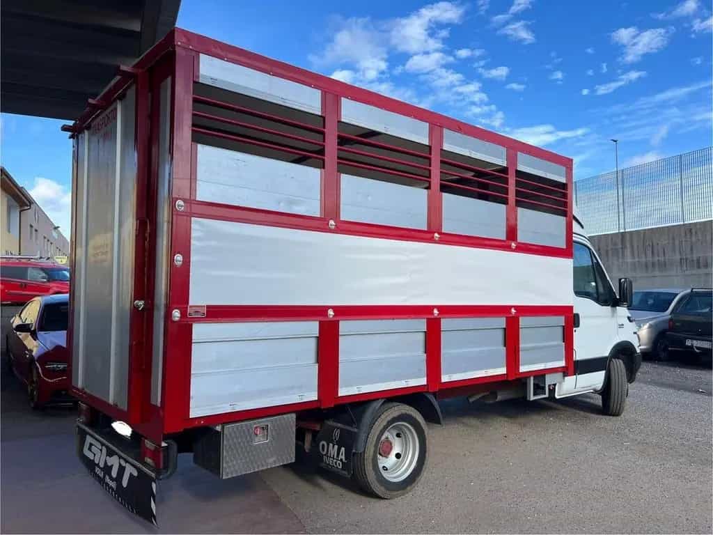Iveco Daily 35c13 trasporto animali vivi patente 04/2002-photo-3