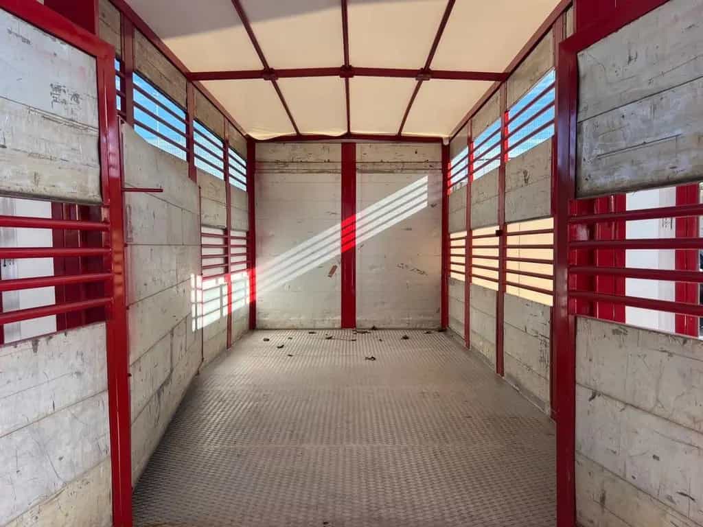 Iveco Daily 35c13 trasporto animali vivi patente 04/2002-photo-7
