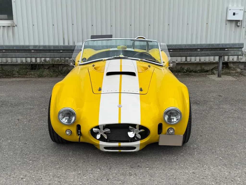 Cobra Andere*Cobra* Schalter*V8*Sidepipes 11/1969-photo-1