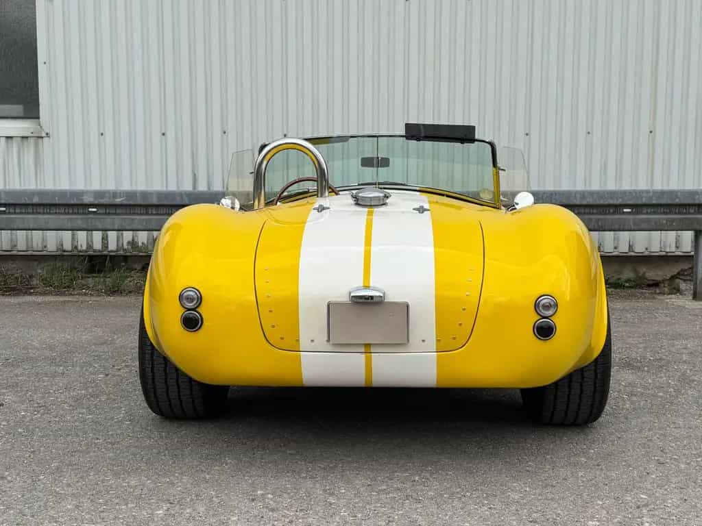 Cobra Andere*Cobra* Schalter*V8*Sidepipes 11/1969-photo-7
