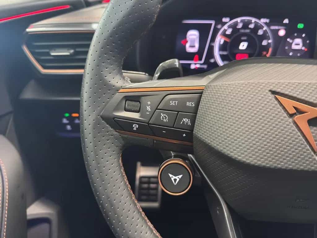 Cupra Formentor 2.0 TSI DSG 4Drive VZ LED NAVI ACC SID 04/2024-photo-17